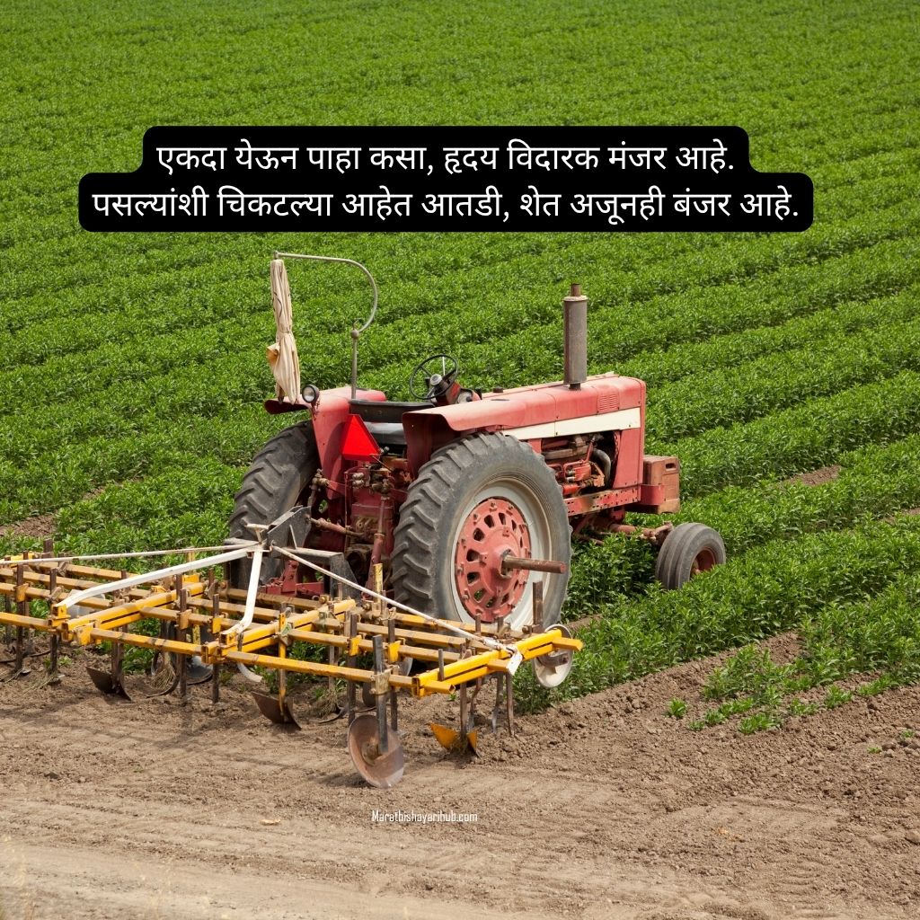 Top Shetkari Shayari Marathi for farmers with emotional rural quotes and kisan status
